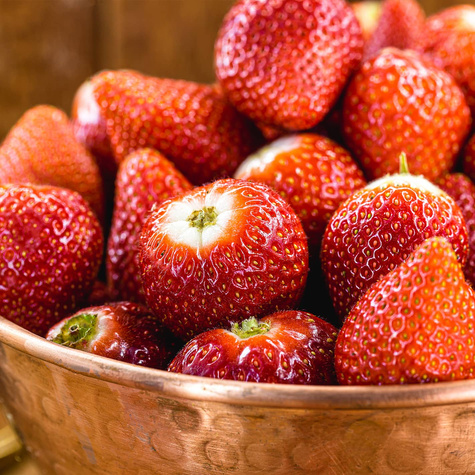 10 ks. Sazenice jahodníku Albion , stáleplodící