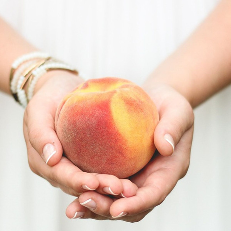 Broskvoň T5 – plod velikosti jablka – sazenice s holým kořenem