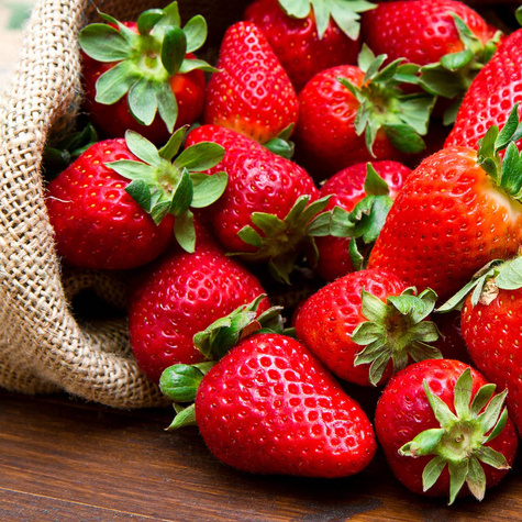 10 ks. Sazenice jahodníku Ostara, lesni jahody