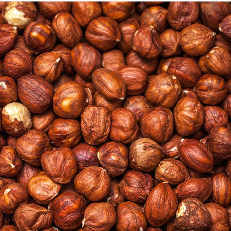 Obří lískový oříšek Halle Hall START PACK