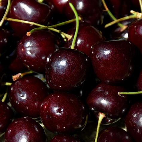 Cherry Sam START PACK