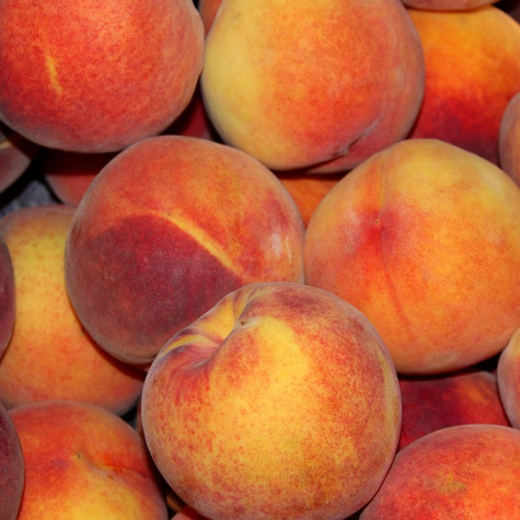 Harbinger peach START PACK