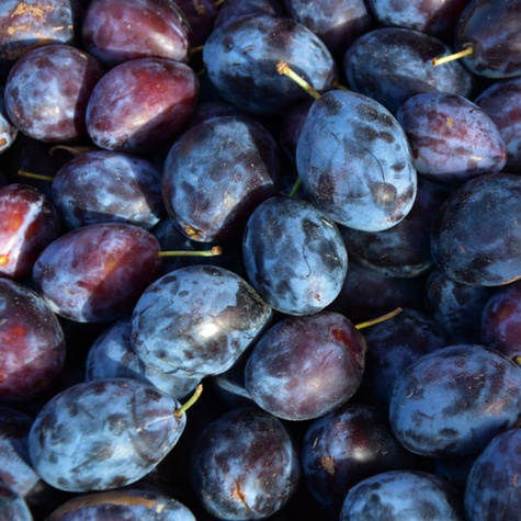 Haganta švestka START PACK