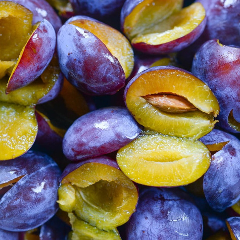 Švestka Amers – sazenice s holým kořenem