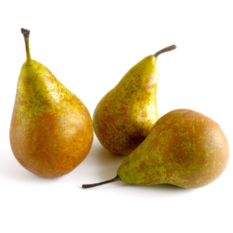 Hrušková konference START PACK ®