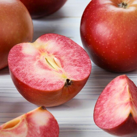 Jabloň Red Love – sazenice s holým kořenem