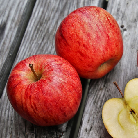 Jabloň Celesta – sazenice s holým kořenem