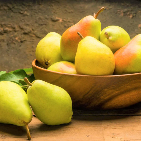 Hrušeň Clappova – sazenice s holým kořenem