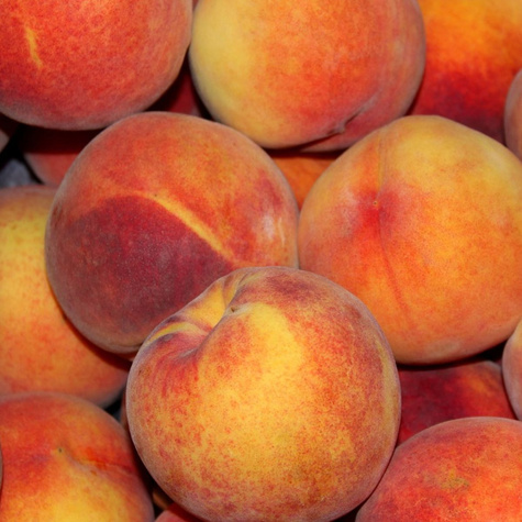 Royalvee broskev START PACK ®