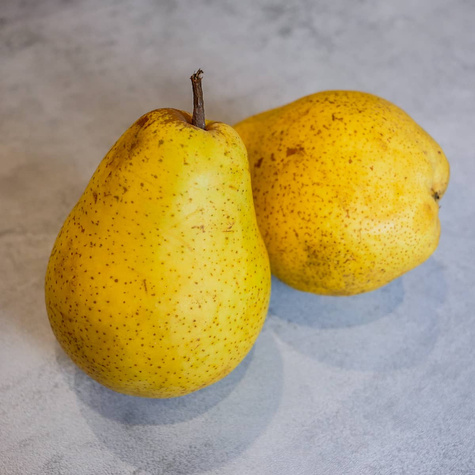 Odolná hrušeň START PACK ®