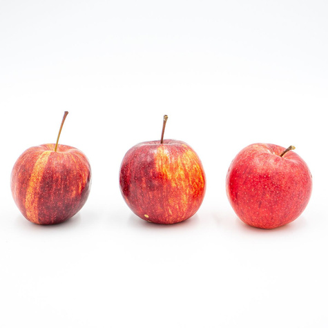 Jabloň Gala – sazenice s holým kořenem