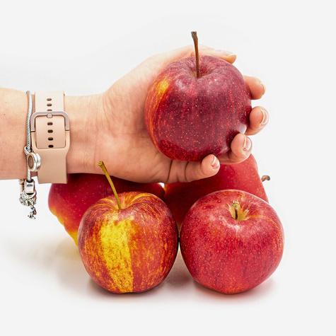 Jabloň Gala – sazenice s holým kořenem