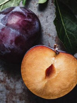 Švestka japonská Černá – sazenice s holými kořeny