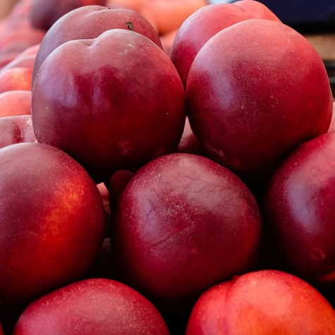 Harco START PACK® nektarinka