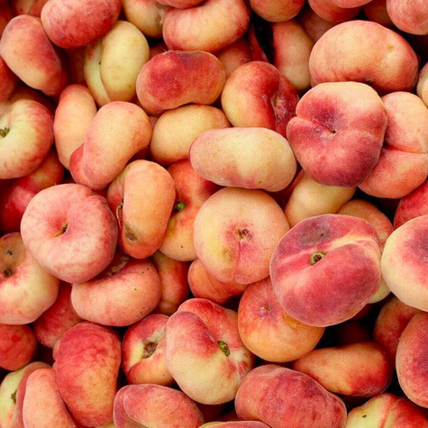 Broskvoň plochá Paraguayo UFO – sazenice s holým kořenem