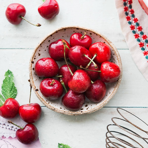 Višeň Łutówka – sazenice s holým kořenem