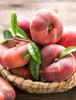 Broskvoň plochá Saturn – sazenice s holým kořenem