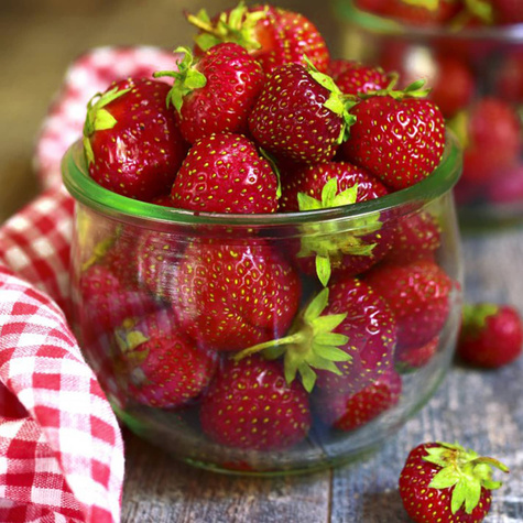 10 ks. Sazenice jahodníku Honeoye, velmi rané